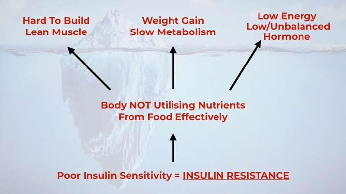 Poor insulin sesnsitivity makes it harder to build lean muscle, lose fat, have sustained energy, and balanced hormones 
